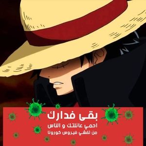 Meet your Posher, Bob